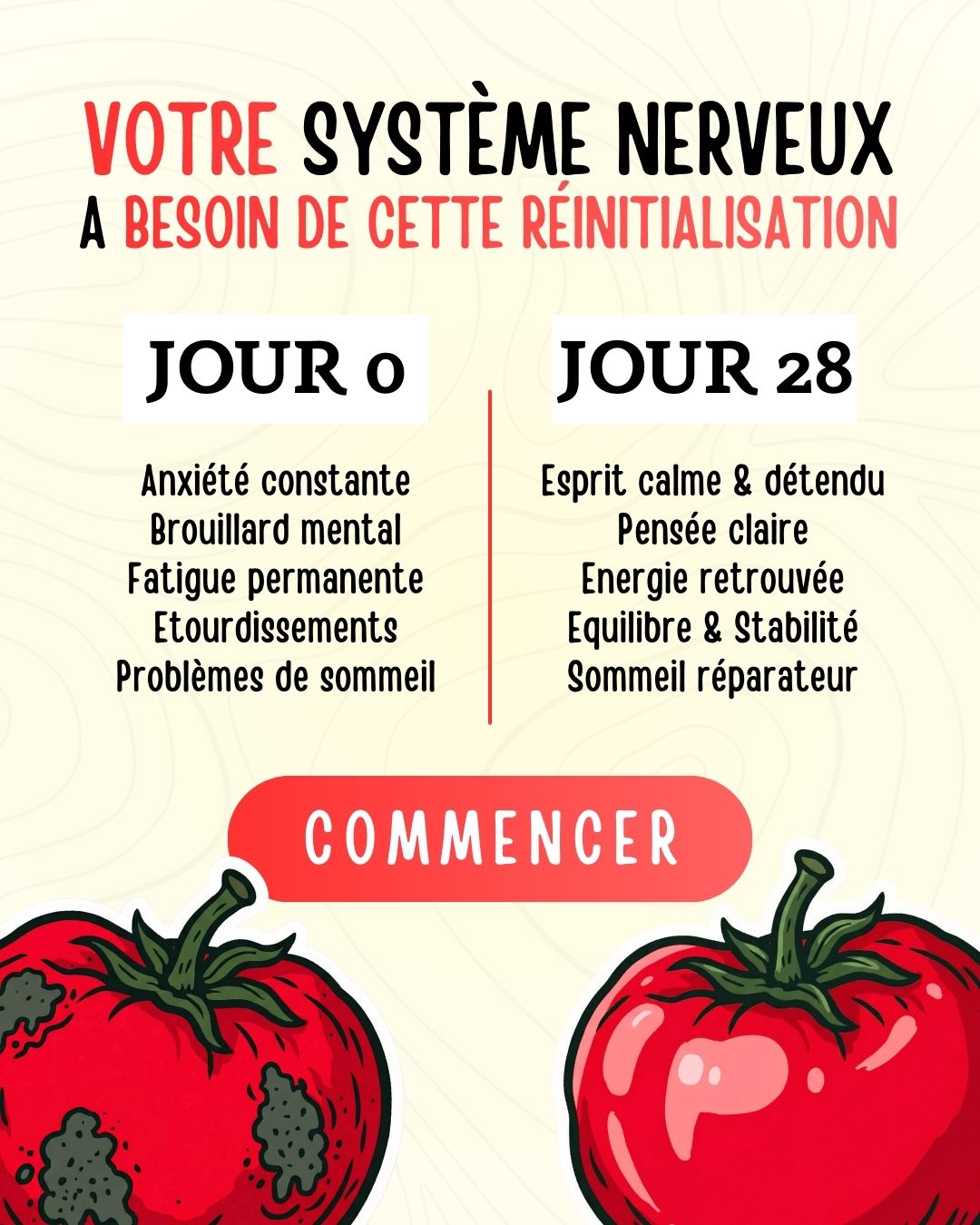 Programme nerf vague